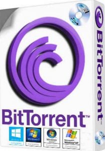 BitTorrent Pro 7.11.4 Crack-Activation Key Free 